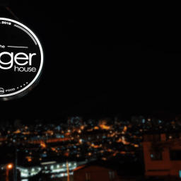 Mushroom y Wrap burger house